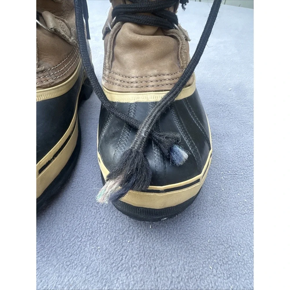 Sorel caribou winter